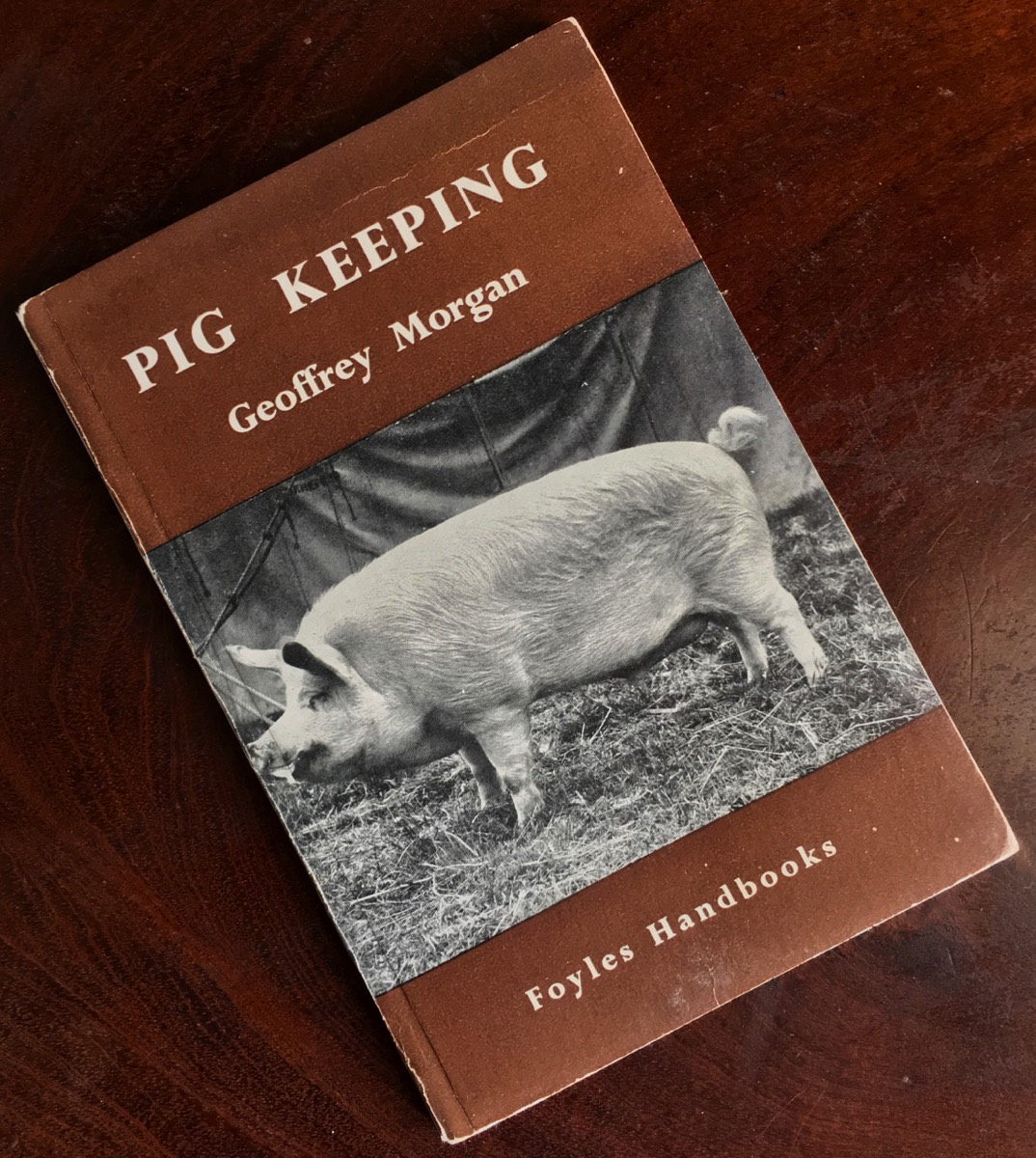 Pig Keeping by Geoffrey Morgan