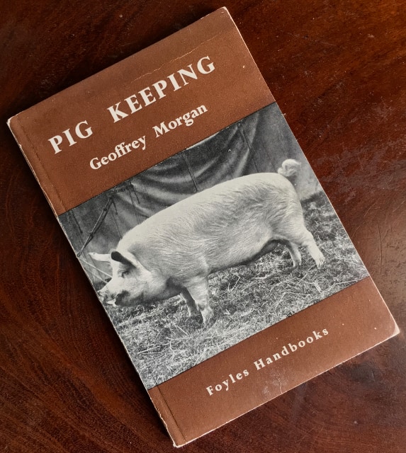 Pig Keeping by Geoffrey Morgan