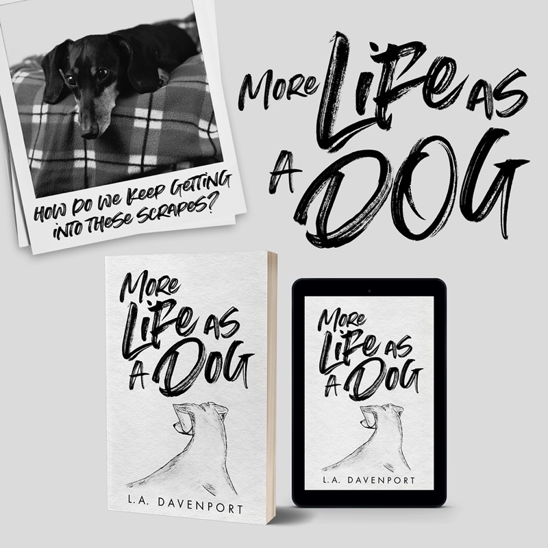 More Life as a Dog in eBook Paperback and Hardback