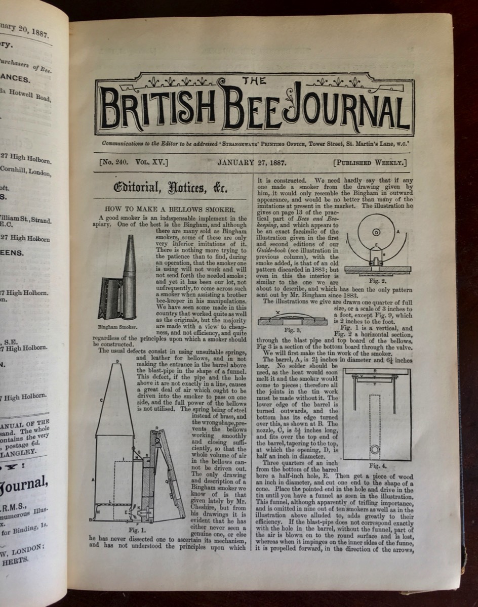 Bee Journal Issue 240