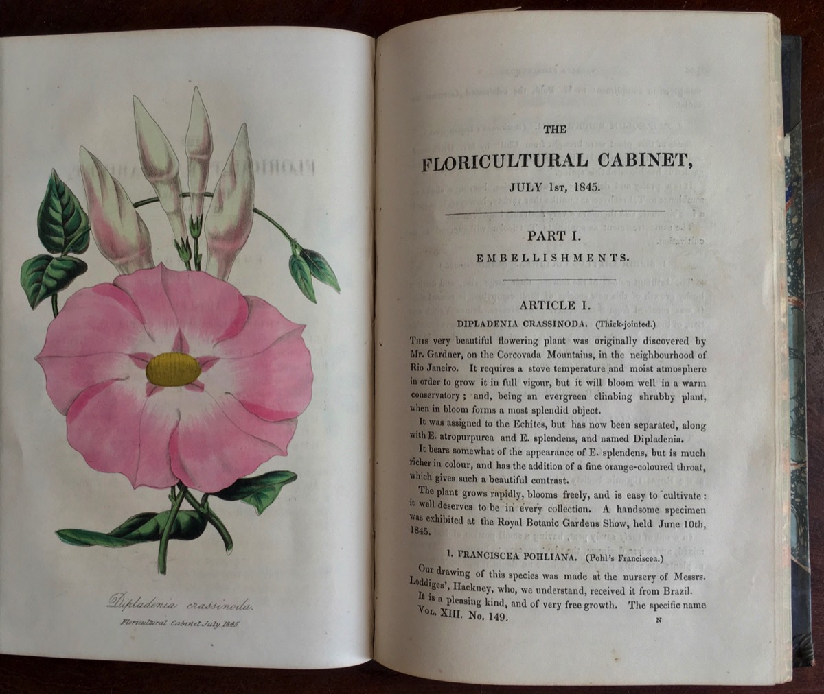Floricultural Cabinet Page b